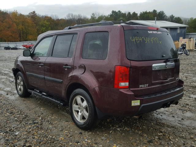 5FNYF48299B021698 - 2009 HONDA PILOT LX RED photo 3