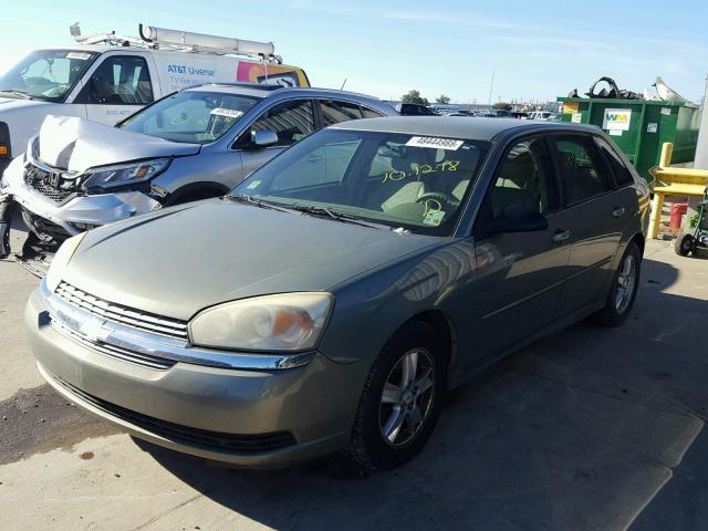 1G1ZT62815F120309 - 2005 CHEVROLET MALIBU MAX მწვანე ფოტო 2