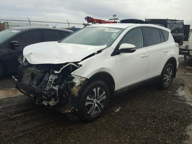 2T3BFREV2GW460413 - 2016 TOYOTA RAV4 LE Ağ foto 2