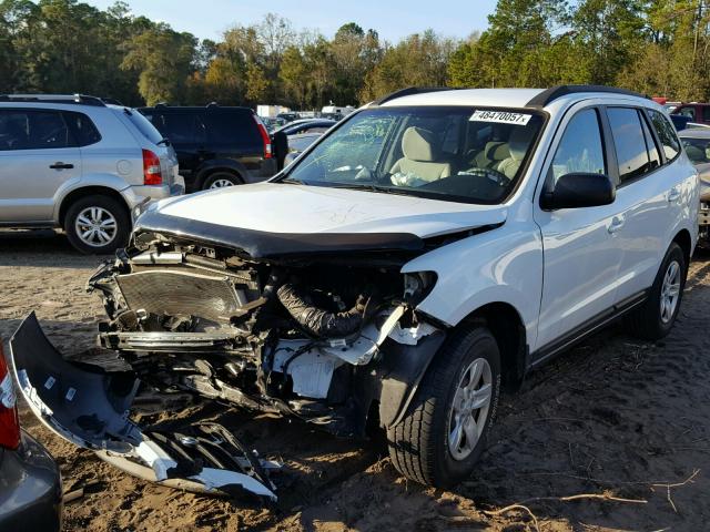 5NMSG13D49H304647 - 2009 HYUNDAI SANTA FE G WHITE photo 2