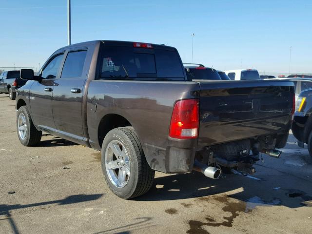 1D7RV1CT7AS261254 - 2010 DODGE RAM 1500 BROWN photo 3