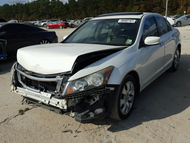 1HGCP36828A039400 - 2008 HONDA ACCORD EXL WHITE photo 2