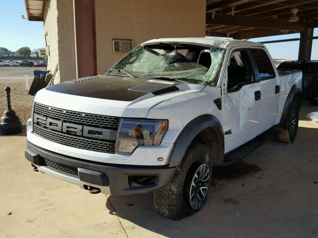 1FTFW1R67DFB74446 - 2013 FORD F150 SVT R WHITE photo 2