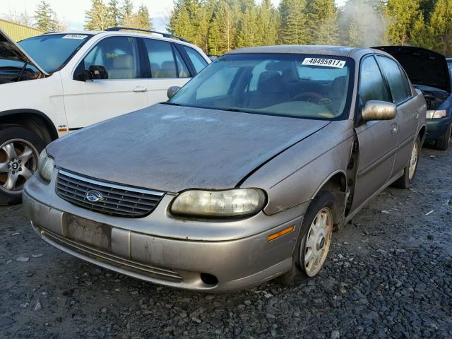 1G1ND52M8X6276059 - 1999 CHEVROLET MALIBU GOLD photo 2