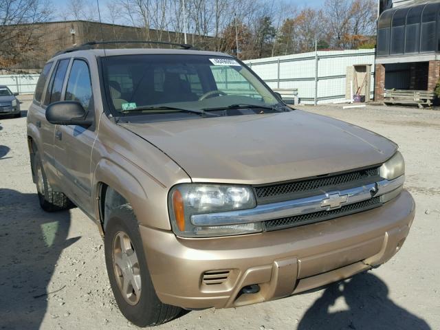 1GNDT13S342342717 - 2004 CHEVROLET TRAILBLAZE TAN photo 1