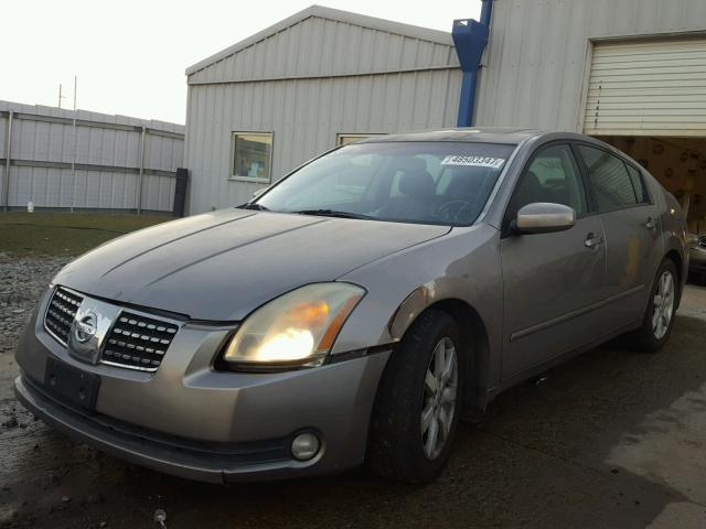 1N4BA41E34C882279 - 2004 NISSAN MAXIMA SE GRAY photo 2