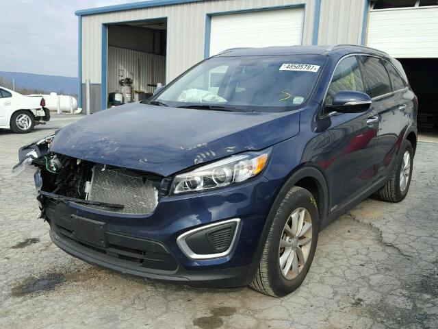 5XYPGDA33GG180282 - 2016 KIA SORENTO LX BLUE photo 2