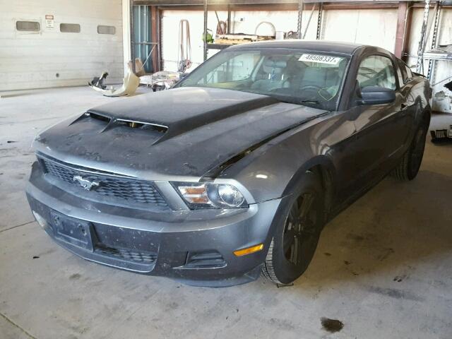 1ZVBP8AN7A5146846 - 2010 FORD MUSTANG GRAY photo 2