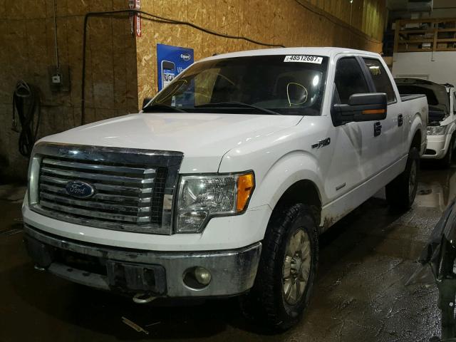 1FTFW1ET4BFB45348 - 2011 FORD F150 SUPER WHITE photo 2