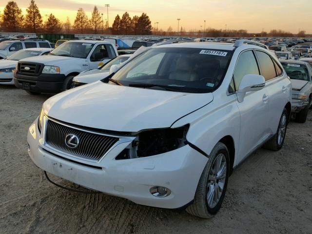 JTJBC1BA5B2420840 - 2011 LEXUS RX 450 WHITE photo 2