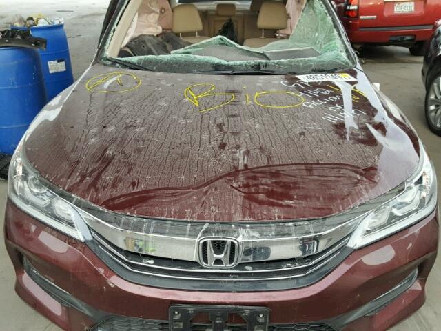 1HGCR2F84GA020690 - 2016 HONDA ACCORD EXL BURGUNDY photo 7