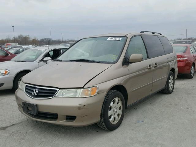 5FNRL18844B139084 - 2004 HONDA ODYSSEY EX TAN photo 2