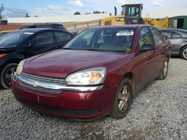 1G1ZT54815F116039 - 2005 CHEVROLET MALIBU LS Bordo foto 2