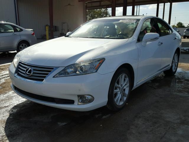 JTHBK1EG9A2376229 - 2010 LEXUS ES 350 WHITE photo 2