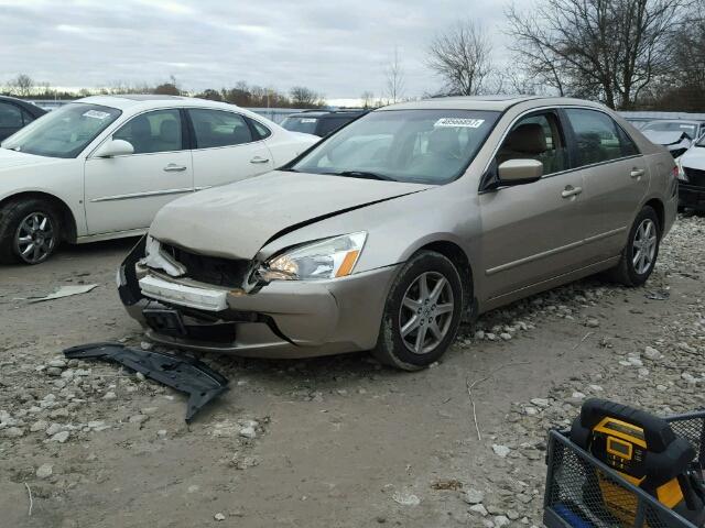 1HGCM66443A804218 - 2003 HONDA ACCORD EX GOLD photo 2