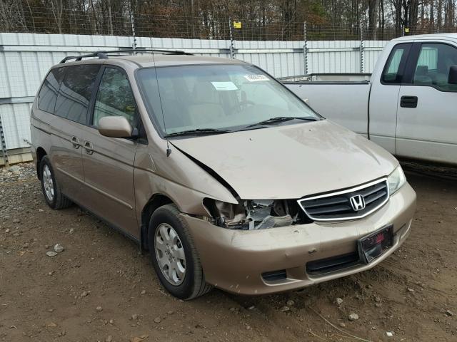 5FNRL18653B008954 - 2003 HONDA ODYSSEY EX GOLD photo 1