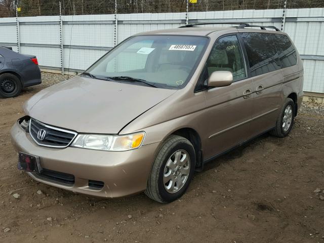 5FNRL18653B008954 - 2003 HONDA ODYSSEY EX GOLD photo 2