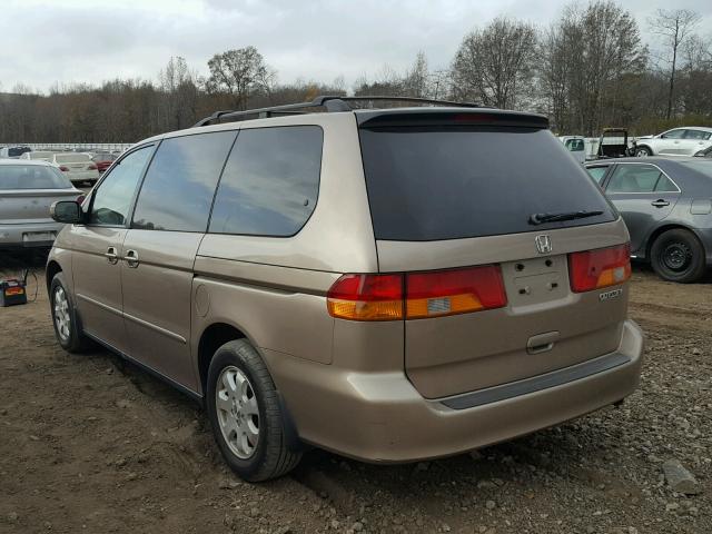 5FNRL18653B008954 - 2003 HONDA ODYSSEY EX GOLD photo 3