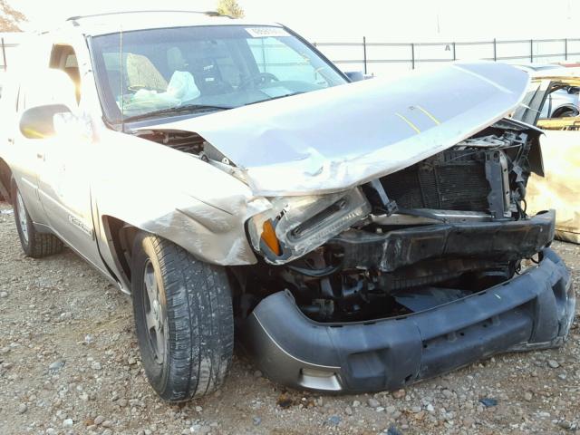 1GNDS13S332369837 - 2003 CHEVROLET TRAILBLAZE TAN photo 9