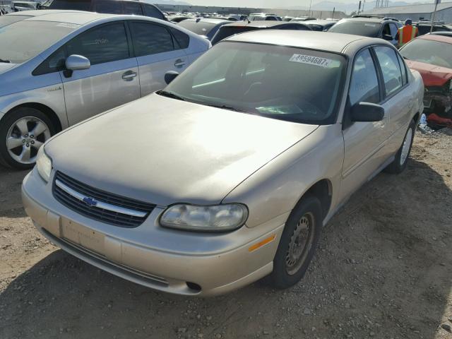 1G1ND52J43M555472 - 2003 CHEVROLET MALIBU GOLD photo 2