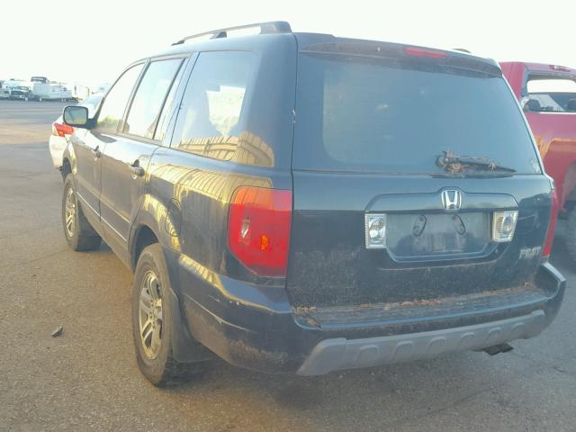 5FNYF18435B061334 - 2005 HONDA PILOT EX BLACK photo 3