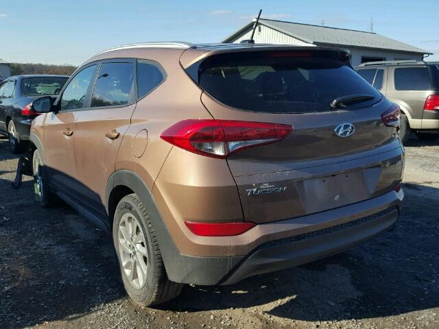 KM8J3CA49HU294187 - 2017 HYUNDAI TUCSON LIM BROWN photo 3