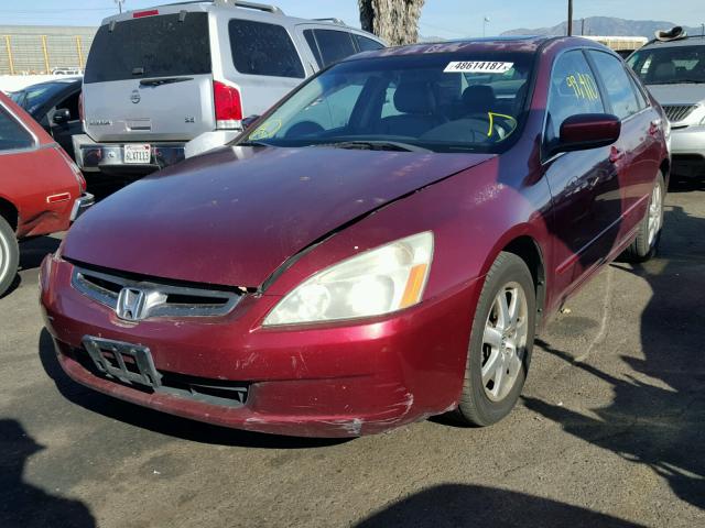 1HGCM66565A041002 - 2005 HONDA ACCORD EX 红色 照片 2