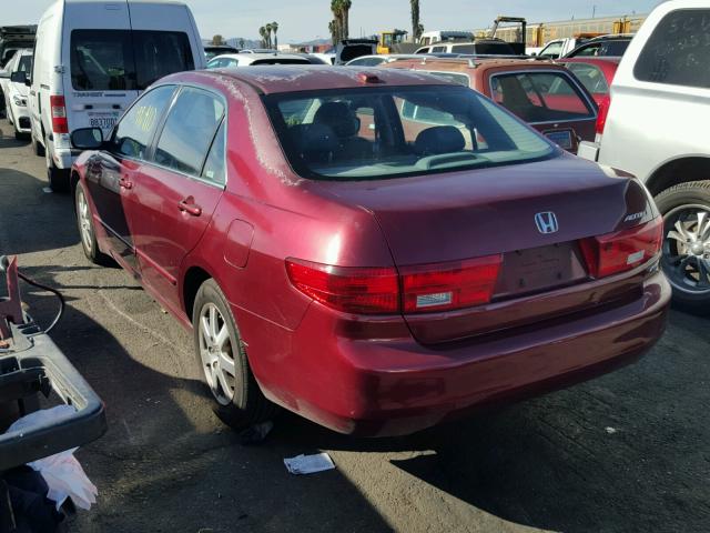 1HGCM66565A041002 - 2005 HONDA ACCORD EX RED photo 3