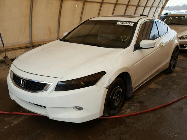 1HGCS22828A017556 - 2008 HONDA ACCORD EXL WHITE photo 2