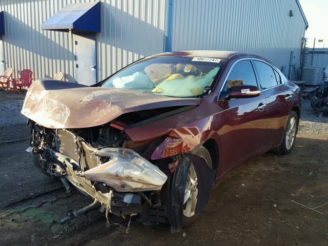 1N4AA5AP8AC874239 - 2010 NISSAN MAXIMA S RED photo 2