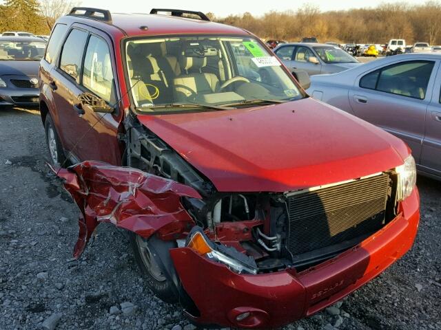 1FMCU9D71BKC36060 - 2011 FORD ESCAPE XLT RED photo 1