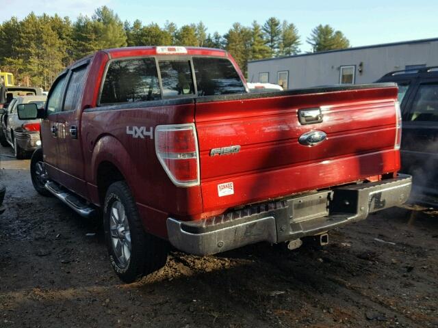 1FTFW1ET6EFA88574 - 2014 FORD F150 SUPER RED photo 3