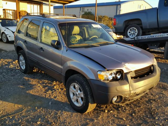 1FMYU93107KA12448 - 2007 FORD ESCAPE XLT GRAY photo 1