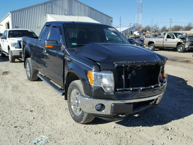 1FTFX1EV7AFD53916 - 2010 FORD F150 SUPER BLACK photo 1