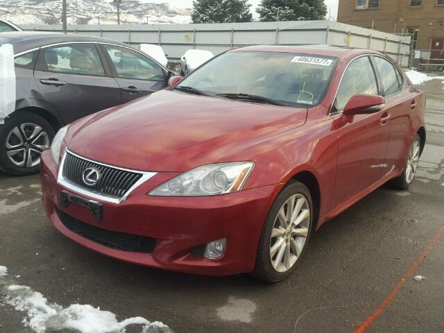 JTHCK262295029980 - 2009 LEXUS IS 250 RED photo 2