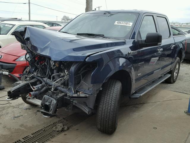 1FTEW1EP9FFB31031 - 2015 FORD F150 SUPER BLUE photo 2