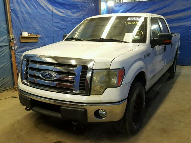 1FTFW1EV6AFC15562 - 2010 FORD F150 SUPER WHITE photo 2