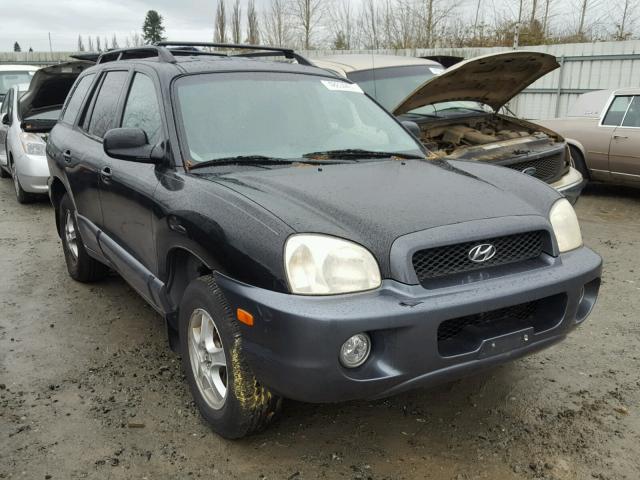 KM8SC73DX3U522893 - 2003 HYUNDAI SANTA FE G BLACK photo 1