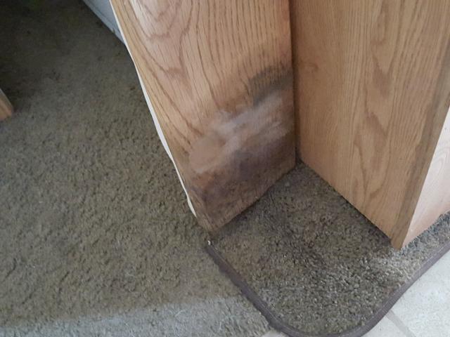 4YDT32R2830308538 - 2003 KEYSTONE HORNET WHITE photo 11