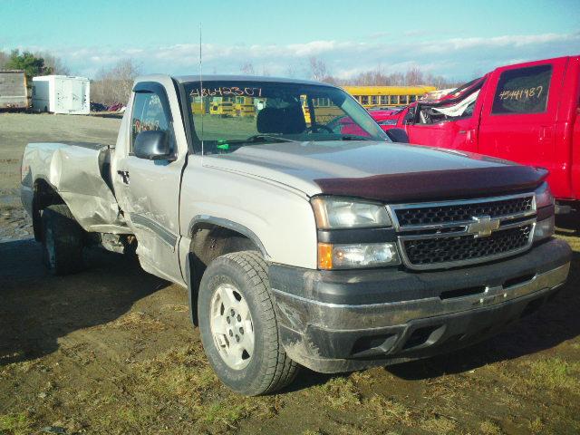 3GCEK14VX6G173346 - 2006 CHEVROLET SILVERADO BEIGE photo 1