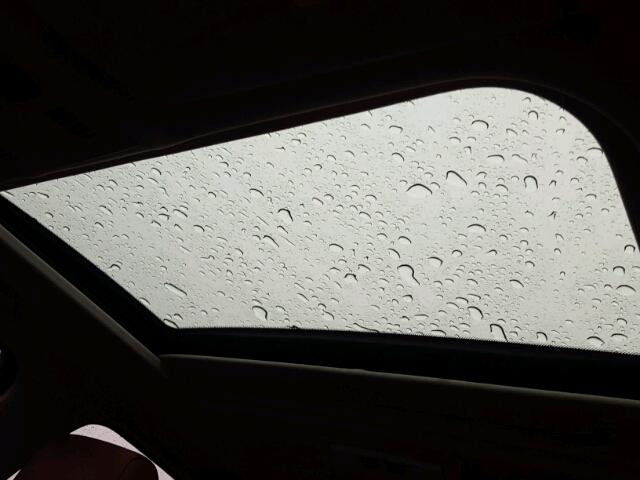 WBAVB33566PS13301 - 2006 BMW 330 I BLACK photo 9