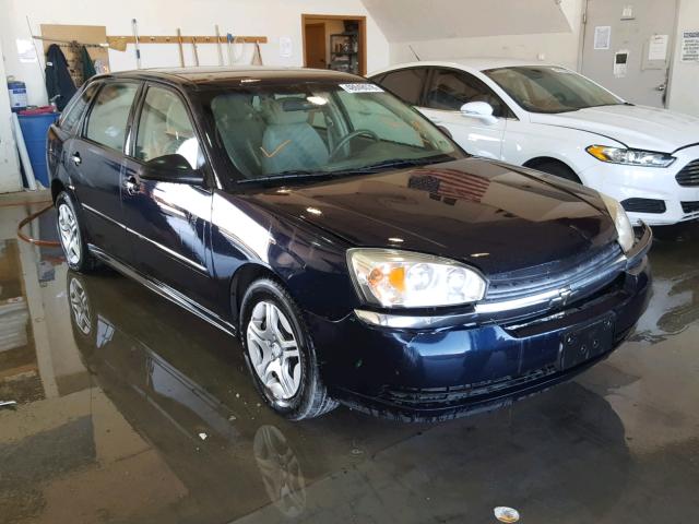 1G1ZS62805F304580 - 2005 CHEVROLET MALIBU MAX ლურჯი ფოტო 1