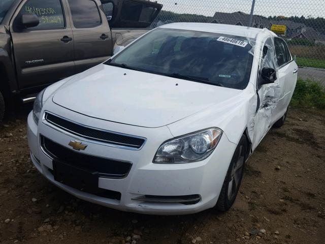 1G1ZC5E05CF364445 - 2012 CHEVROLET MALIBU 1LT 白色 照片 2