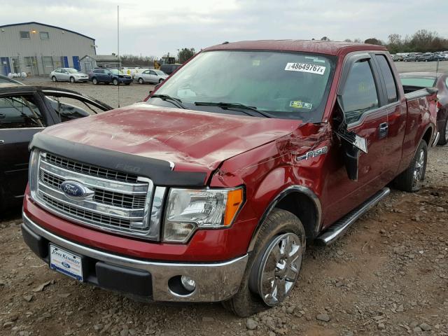 1FTEX1CM9EFB48903 - 2014 FORD F150 SUPER RED photo 2