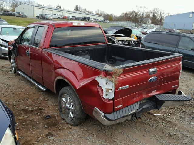 1FTEX1CM9EFB48903 - 2014 FORD F150 SUPER RED photo 3