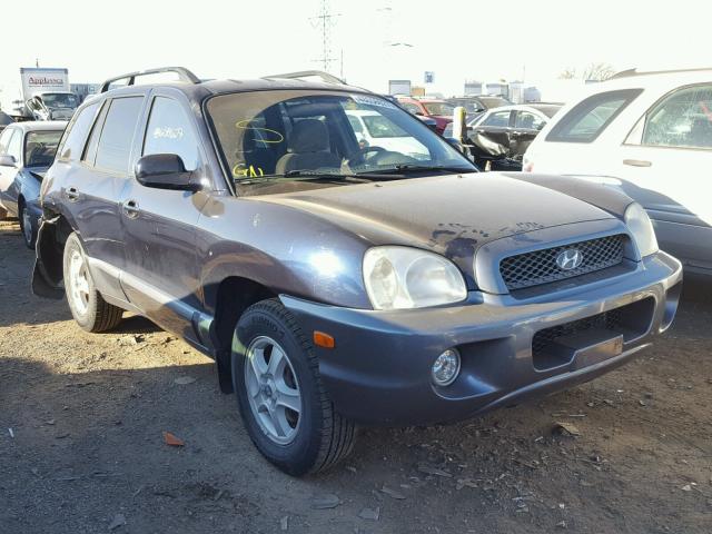 KM8SC13D44U742786 - 2004 HYUNDAI SANTA FE G BLUE photo 1