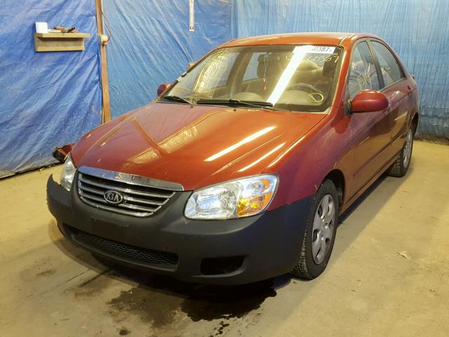 KNAFE122885543950 - 2008 KIA SPECTRA EX RED photo 2