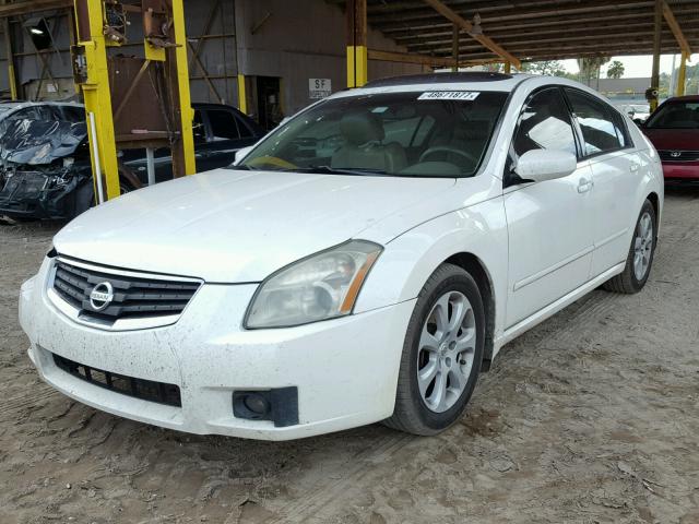 1N4BA41E28C825545 - 2008 NISSAN MAXIMA SE WHITE photo 2