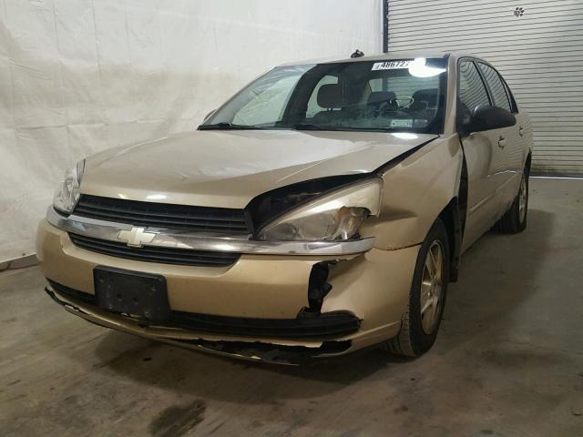 1G1ZT54835F293112 - 2005 CHEVROLET MALIBU LS ოქროსფერი ფოტო 2
