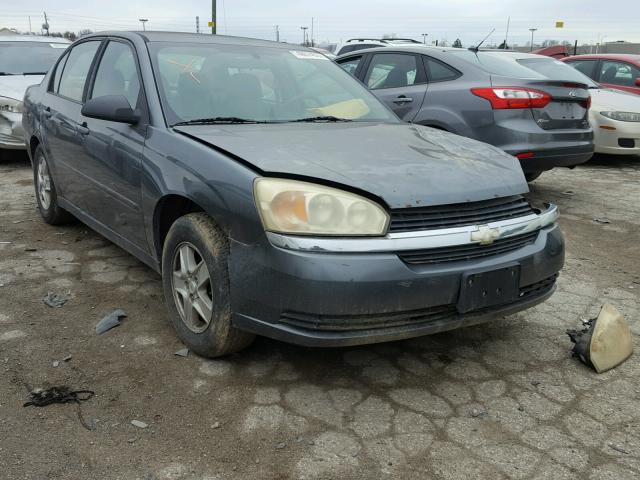 1G1ZT52864F117110 - 2004 CHEVROLET MALIBU LS GRAY photo 1